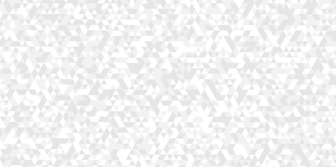 Abstract Vector geometric seamless gray and white cube square low polygon background. abstract surface creative diamond pattern gray Polygon Mosaic triangle texture background.