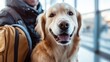 © Fluffik - Adventuring together  a journey with your dog and the joys of traveling with pets