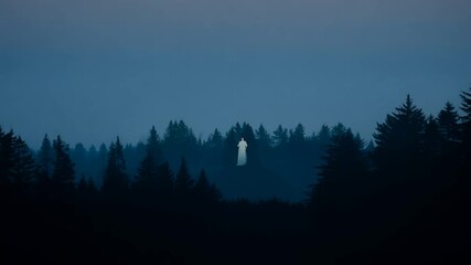 Wall Mural - Silhouetted trees against a dusky blue sky with a faint light shining in the distance.