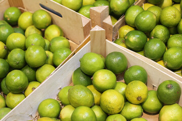 Fresh green limes in wooden crates. Sour citrus fruits for transport, import, and export. Bulk limes ready for distribution. Pile of fruits. Supermarket grocery store. Group of green fruit.