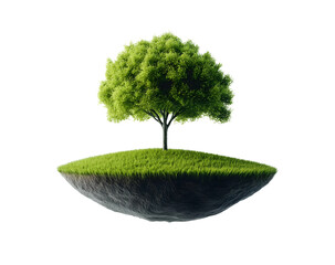 green tree growing on floating island isolated png transparent background