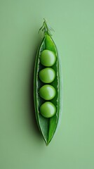 Wall Mural - Fresh pea pod with four peas on green background