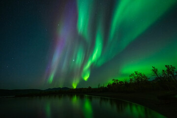 brilliant greens and blues from sweden's aurora borealis, northern lights