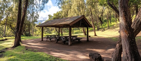 Wall Mural - Picnic Shelter in a Lush Forest