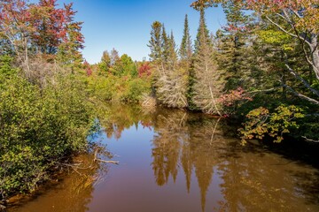 autumn forest lake