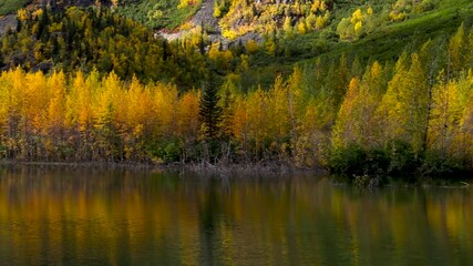 Wall Mural - bright autumn time trees by the lake with perfect reflections in alaska.