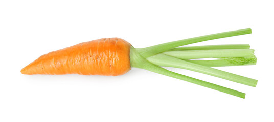 Sticker - One fresh ripe carrot isolated on white