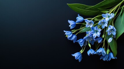 Wall Mural - A bouquet of delicate blue flowers against a dark background.