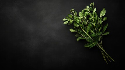 A fresh bunch of green herbs on a dark surface, emphasizing natural beauty and culinary use.