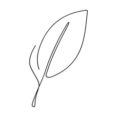Wall Mural - Leaf hand drawn line art one continuous.Vector illustration