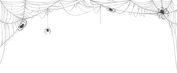 Wall Mural - spider web line art vector