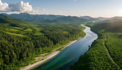 Aerial view of lush coastline and stunning sea vista at Laranjeiras Camboriu beach in Brazil