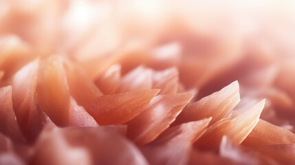 Poster - Soft focus close-up of delicate peach flower petals