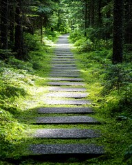 Wall Mural - Serene forest path with wooden steps