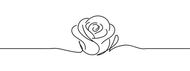 Wall Mural - rose illustration of a flower line art style vector with white background.
