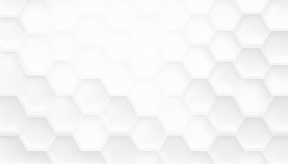 Poster - Abstract. Hexagon white Background. light and shadow. Embossed Hexagon, honeycomb white background. White Wide Hexagon Background Site head 3d illustration