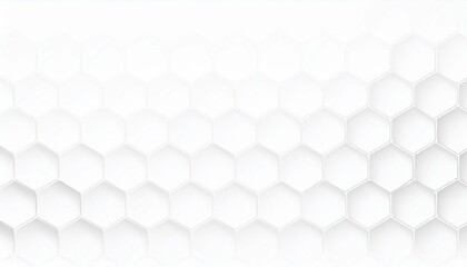 Poster - Abstract. Hexagon white Background. light and shadow. Embossed Hexagon, honeycomb white background. White Wide Hexagon Background Site head 3d illustration
