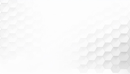 Poster - Abstract. Hexagon white Background. light and shadow. Embossed Hexagon, honeycomb white background. White Wide Hexagon Background Site head 3d illustration