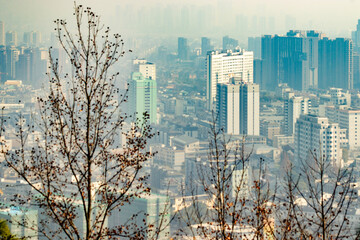 panorama of the city