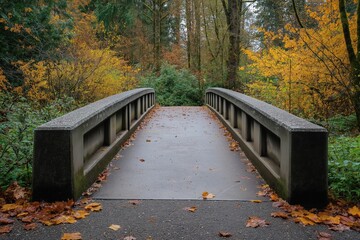 Autumn forest bridge pathway