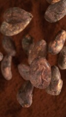 Poster - Super Slow Motion of Falling Group of Cocoa Beans. Falling Down into Cocoa Powder. Filmed on High Speed Cinema Camera, 1000fps.
