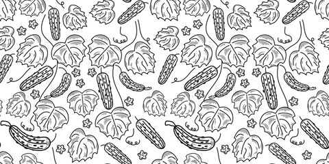 Poster - Seamless monochrome pattern on transparent layer - cucumbers. Branches of cucumbers with flowers, leaves and fruits.