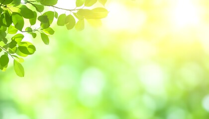 Wall Mural - Serene abstract backdrop of defocused green trees illuminated by sunshine with soft lights and ample space for text