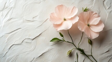 Wall Mural - Two Delicate Pink Flowers on Textured Background