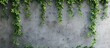 © 2rogan - Grey Wall With Climbing Leaves
