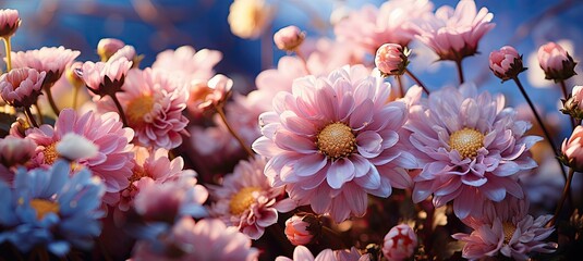 Poster - The garden is filled with vibrant pink flowers in full bloom, basking under the warm sunlight. Each blossom highlights the beauty of early spring, creating a serene atmosphere