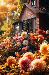 Poster - Bright, blooming dahlias in shades of pink, orange, and yellow create a stunning display around a charming cottage, bathed in warm afternoon sunlight