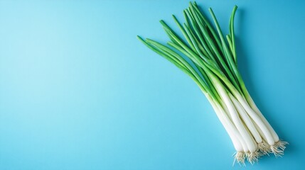 scallions or spring onion on blue background