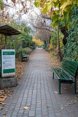 Sticker - A serene pathway lined with benches and autumn foliage, inviting relaxation in nature.