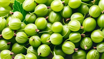 Wall Mural - Lush close-up of ripe green gooseberries showcasing intricate texture and vivid color, ideal for culinary and agricultural inspirations.