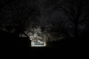 Wall Mural - old house with a ghost in the forest at misty night or night scene with house under moon. old mystic