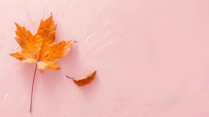 Poster - A leaf is on a pink background