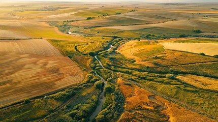 Poster - Golden wheat fields stretching to the horizon with meandering streams