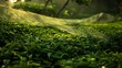 © decorator - Serene tea garden  lush green leaves thriving under soft lighting and protective netting