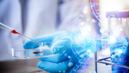 lab technician assistant analyzing a blood sample in test tube to research dna at laboratory with mi