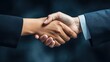 © missisya - Business Handshake Agreement Partnership Deal Close Up