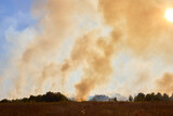 Meadow filled with smoke fire burning across dry stubble and grassland flames creating an environmental disaster that damages natural environment