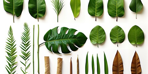 Poster - illustration of a set of bamboo