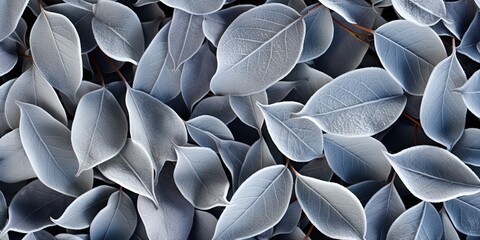 Wall Mural - close up of a pile of seeds