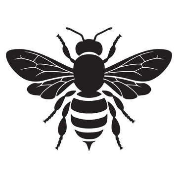 Vector illustration of a black bee icon in a silhouettes style. Honey Bee icon, honey bee isolated on white background. 