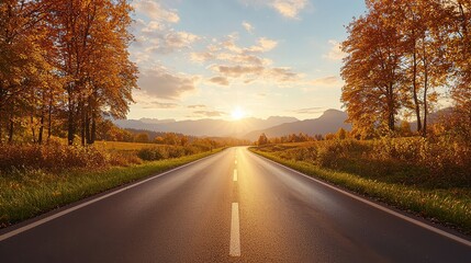 A road with trees on either side and a sun setting in the background. The road is empty and the sun is setting, creating a peaceful and serene atmosphere