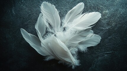 Cluster of white feathers softly arranged on a dark surface, showcasing their delicate and airy qualities