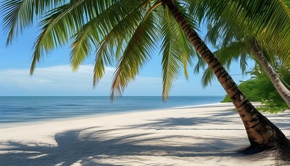 Wall Mural - Relaxing under Palm Tree Shade on a Serene Beach