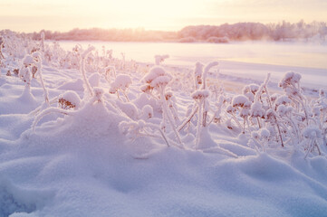 Winter landscape - frosty winter plants on the background of sunset and winter river cold mist, beautiful winter landscape view