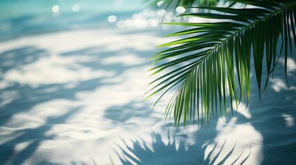 Poster - palm leaf shadow on abstract white sand beach background sun lights on water surface beautiful abstract background concept banner for summer vacation at the beach : Generative AI