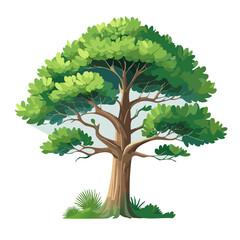 Pine tree vector art landscape illustration design